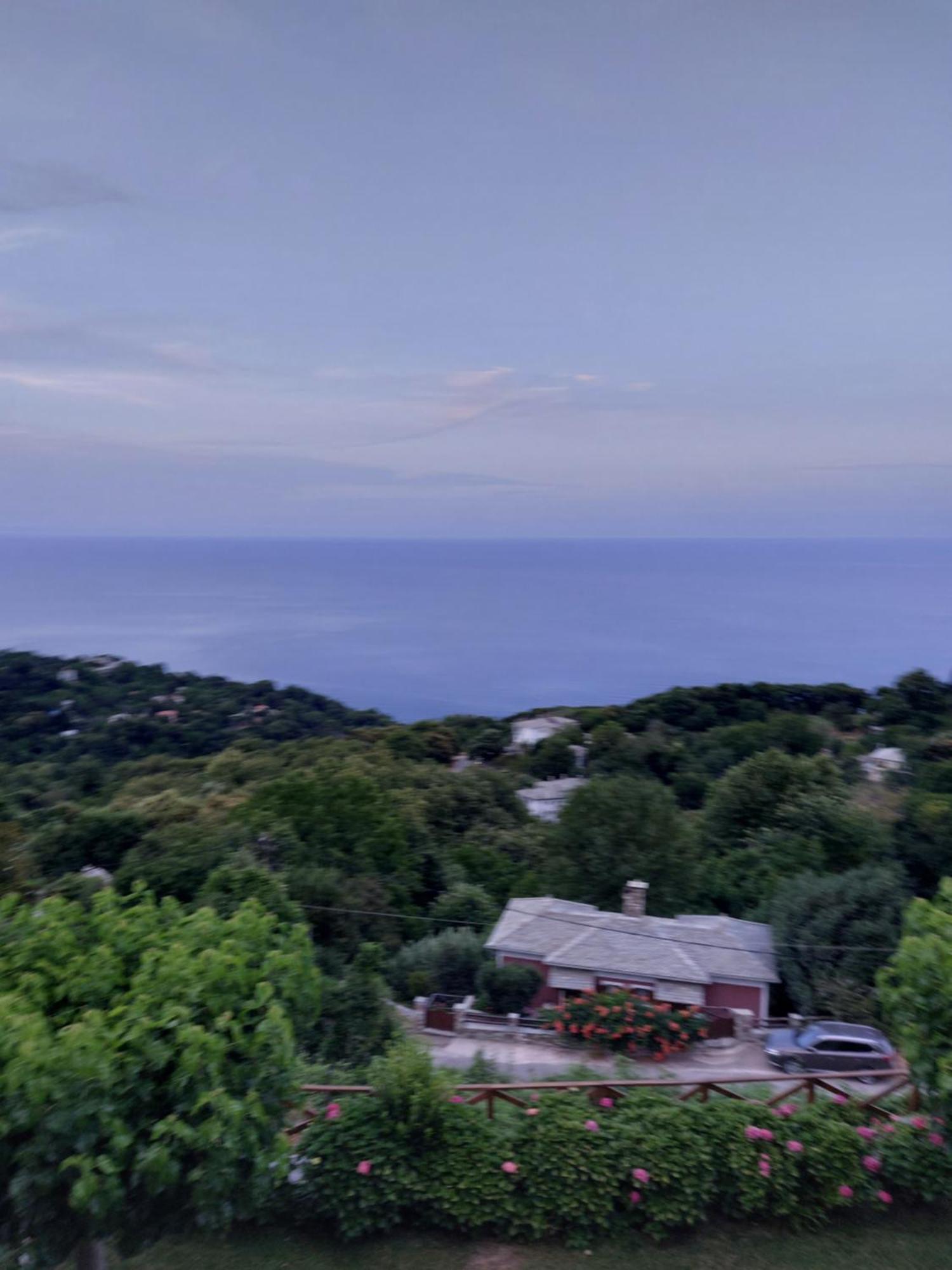 Θαλλώ Luxurious Villa Tsagkarada Kamer foto